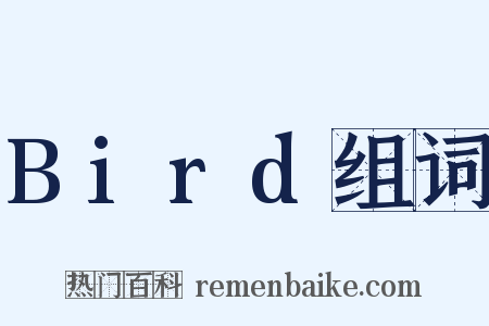 Bird组词是什么意思的图片